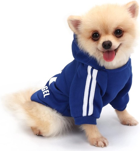Felpe cani maglie - cani,, cane