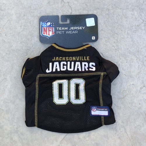 Jacksonville jaguars nfl team - jacksonville,
