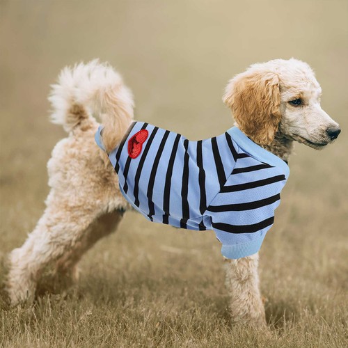 Abbigliamento cane maglie per - abbigliamento,