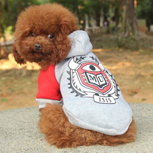 Abbigliamento felpa maglia