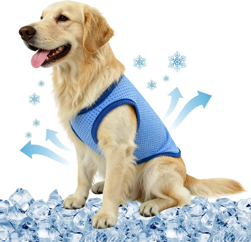 Maglia refrigerante cane - maglia,