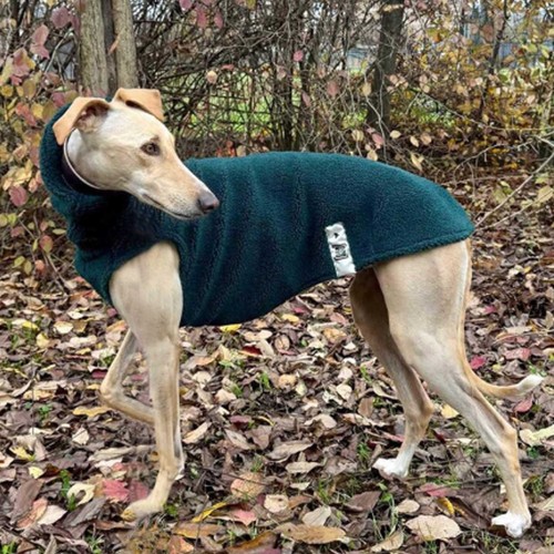 Maglia per cani - maglia,