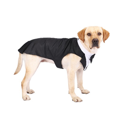 Maglie per cani - cani, da